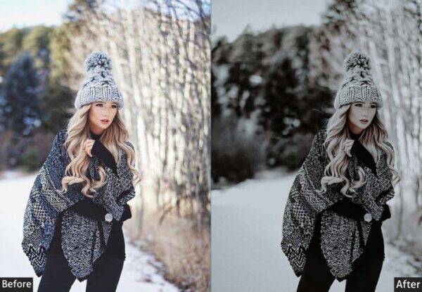 50+ Winter Presets - Image 33