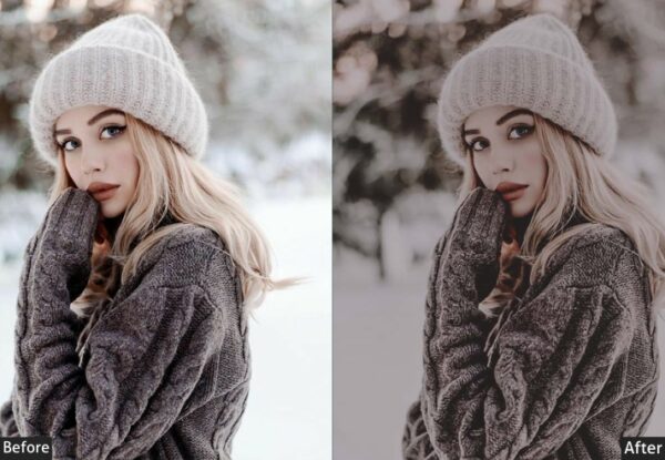 50+ Winter Presets - Image 38