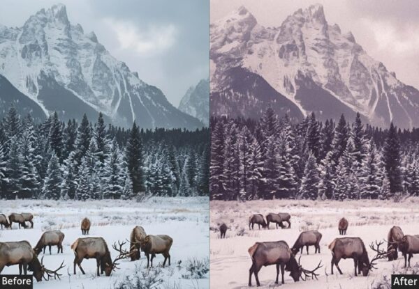 50+ Winter Presets - Image 28
