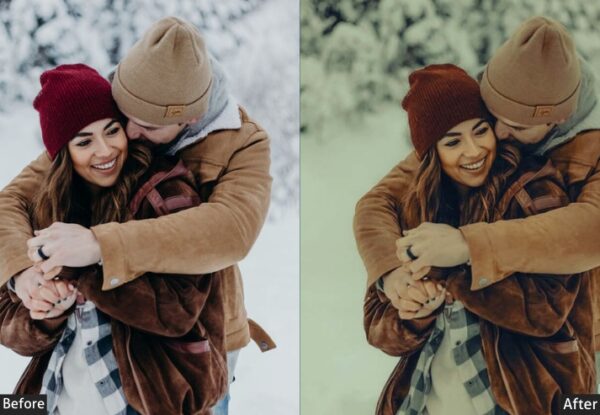 50+ Winter Presets - Image 44