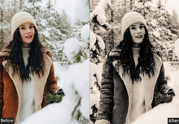 Sepia Matte Winter