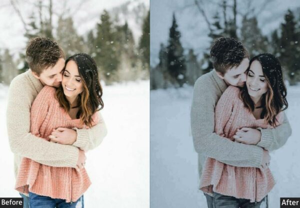 50+ Winter Presets - Image 40