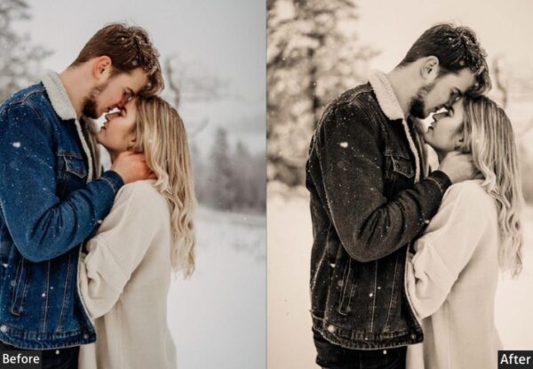 50+ Winter Presets - Image 24