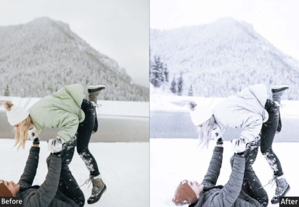 50+ Winter Presets - Image 48