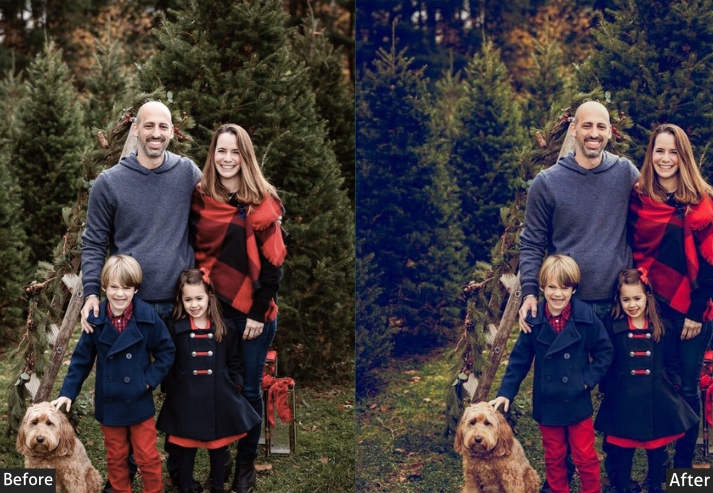 Blue Moody Christmas