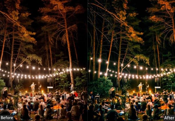 65+ Concert Presets - Image 56