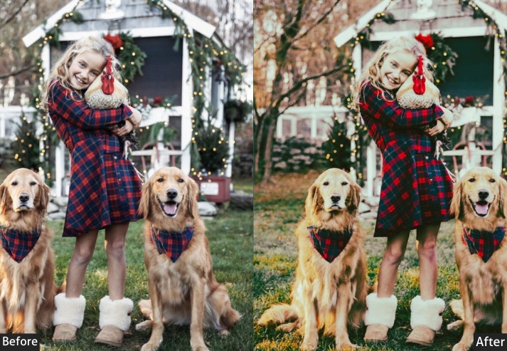 Moody Christmas