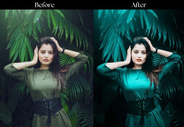 100+ Indian Wedding Presets - Image 37