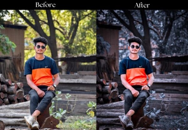 100+ Indian Presets - Image 29