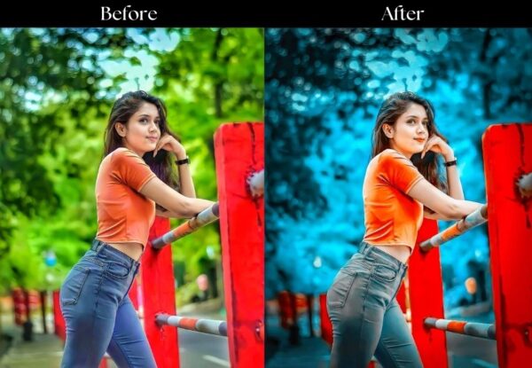 100+ Indian Presets - Image 31