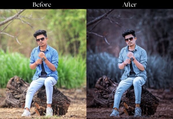 100+ Indian Presets - Image 23