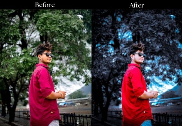 100+ Indian Presets - Image 17