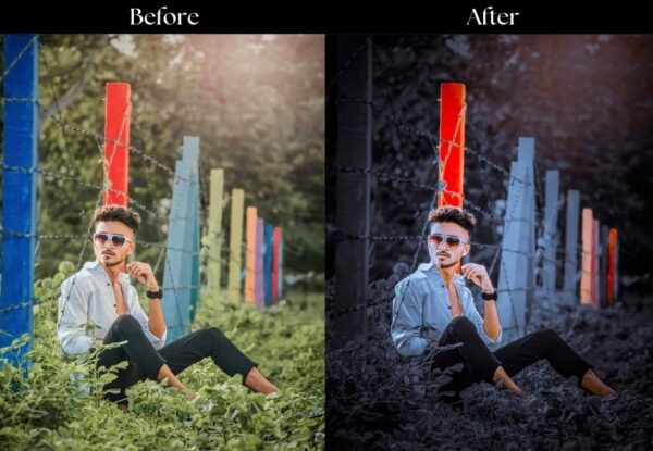 100+ Indian Presets - Image 16