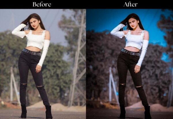 100+ Indian Presets - Image 15