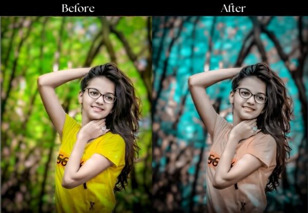 100+ Indian Presets - Image 10