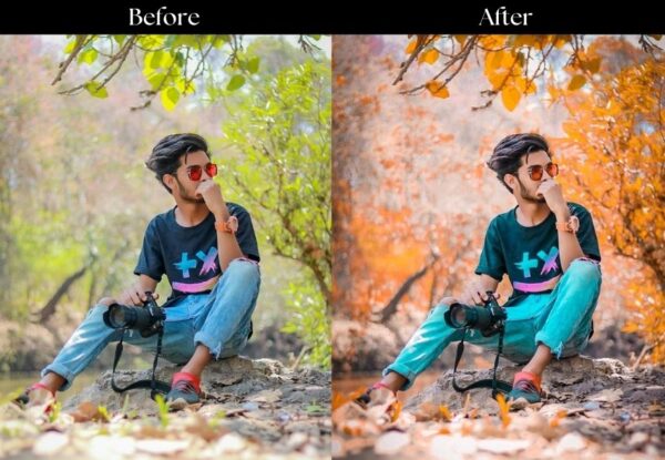 100+ Indian Presets - Image 11