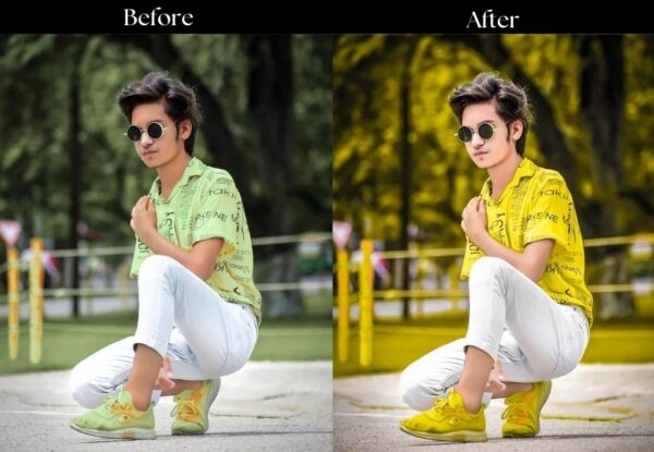 100+ Indian Presets - Image 3