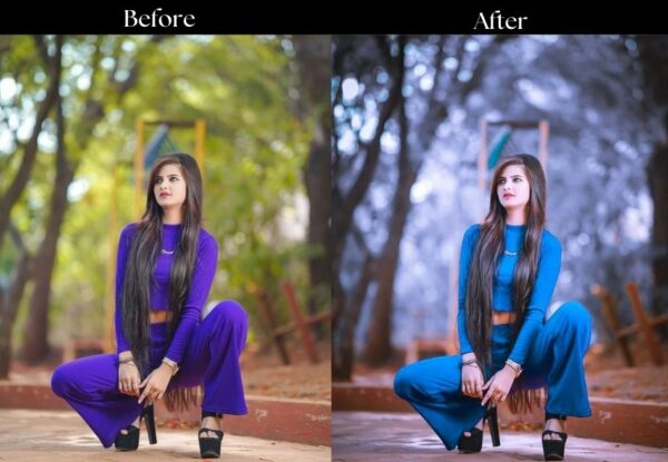 100+ Indian Presets - Image 12