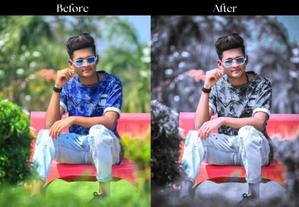 100+ Indian Presets - Image 5