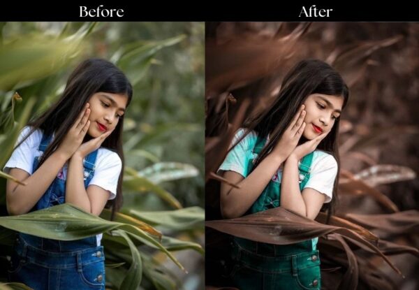 100+ Indian Presets - Image 4