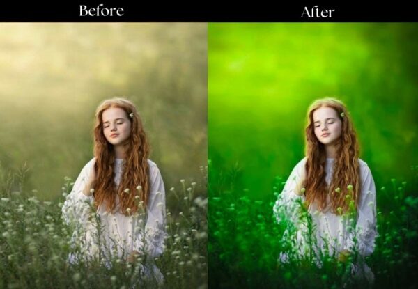 100+ Indian Presets - Image 111