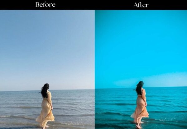 100+ Indian Presets - Image 110