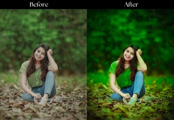 100+ Indian Presets - Image 119