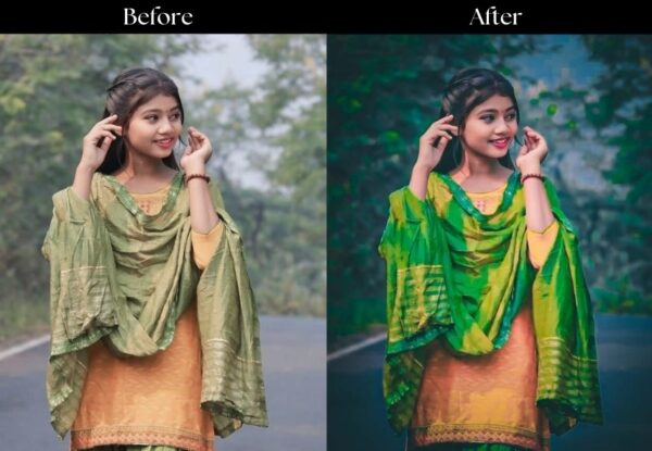 100+ Indian Presets - Image 108