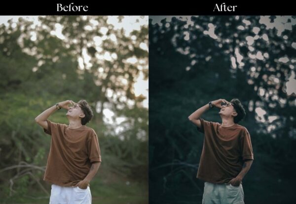 100+ Indian Presets - Image 109