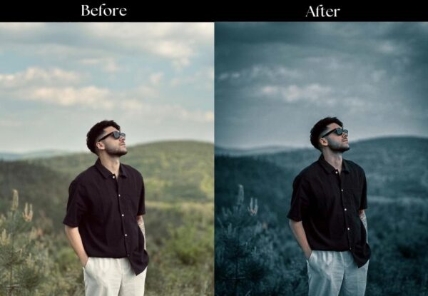 100+ Indian Presets - Image 99