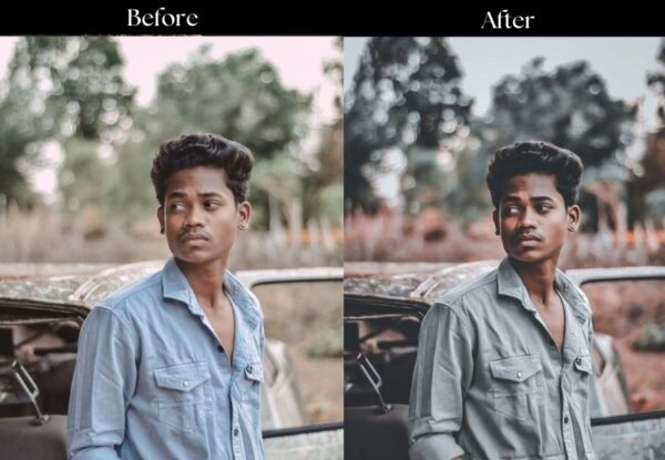 100+ Indian Presets - Image 97