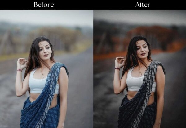 100+ Indian Presets - Image 95