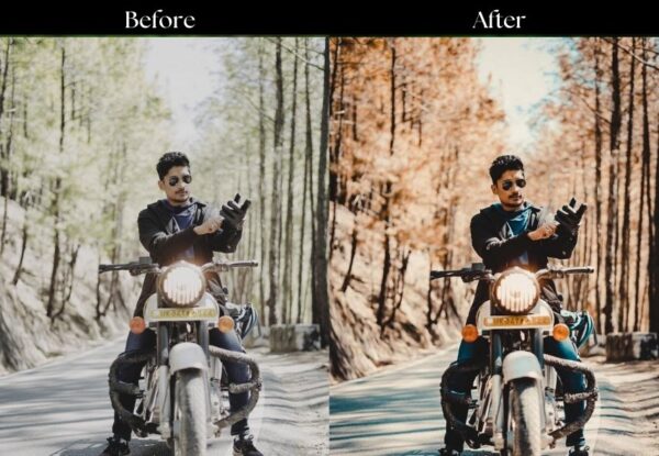 100+ Indian Presets - Image 120