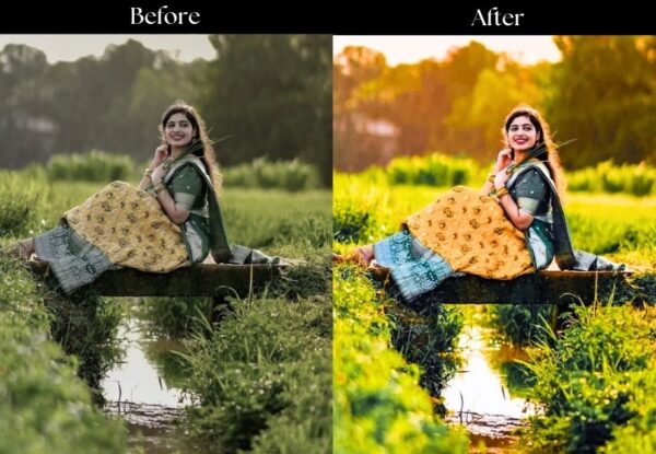 100+ Indian Wedding Presets - Image 56