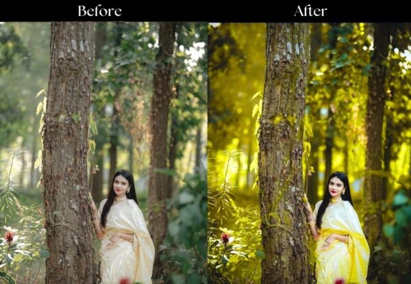 100+ Indian Wedding Presets - Image 55