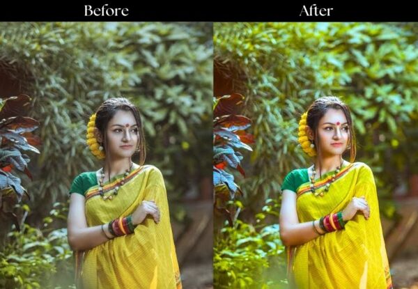 100+ Indian Presets - Image 91