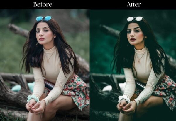 100+ Indian Presets - Image 92