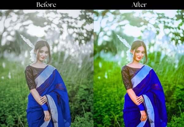100+ Indian Presets - Image 85