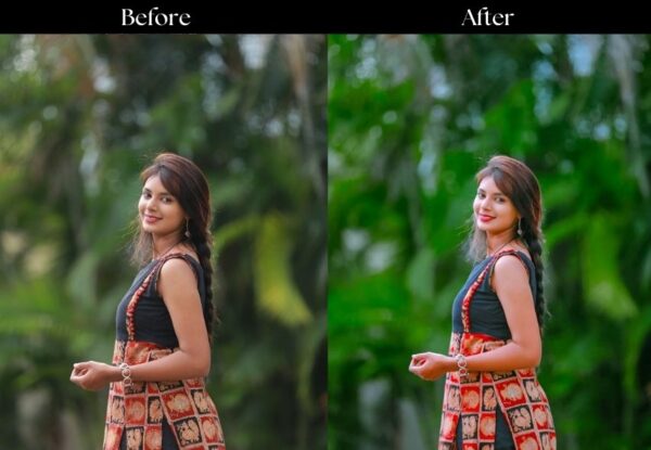 100+ Indian Presets - Image 83