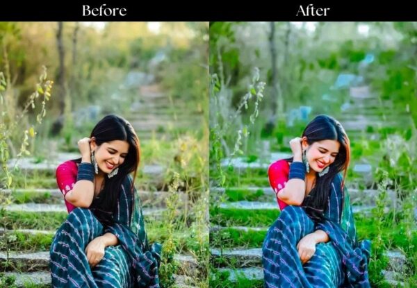 100+ Indian Wedding Presets - Image 51