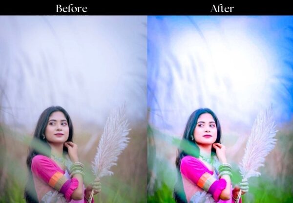 100+ Indian Presets - Image 73