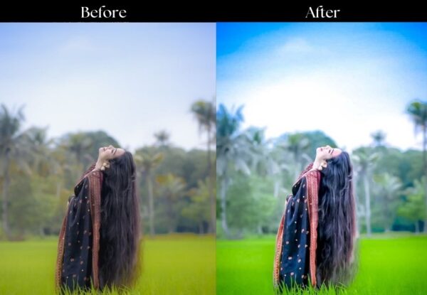 100+ Indian Wedding Presets - Image 46