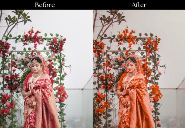 100+ Indian Wedding Presets - Image 62