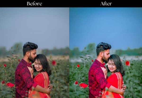 100+ Indian Wedding Presets - Image 47