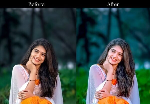 100+ Indian Presets - Image 78