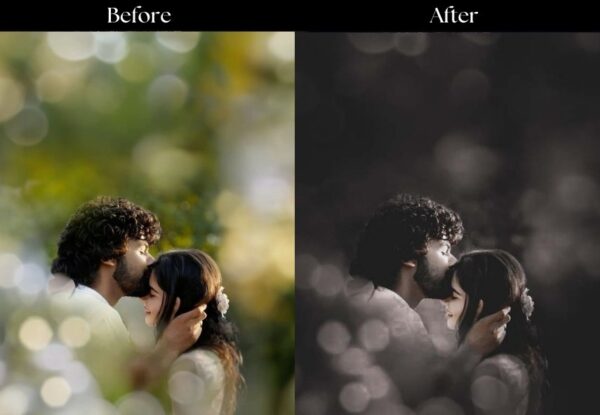 100+ Indian Wedding Presets - Image 48