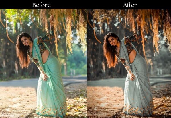 100+ Indian Wedding Presets - Image 49