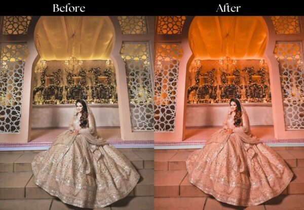 100+ Indian Wedding Presets - Image 11
