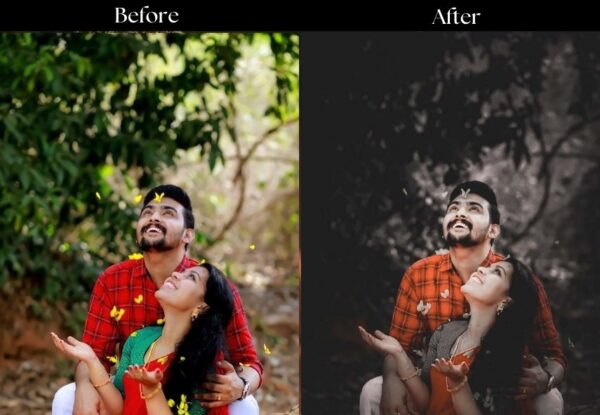 100+ Indian Wedding Presets - Image 45