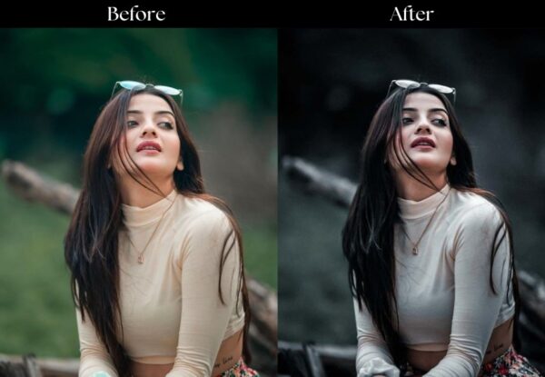 100+ Indian Presets - Image 56